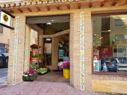 Flores Decor