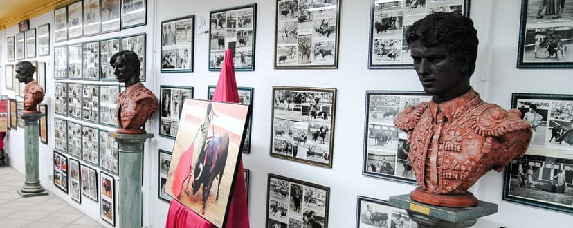 Museo Taurino