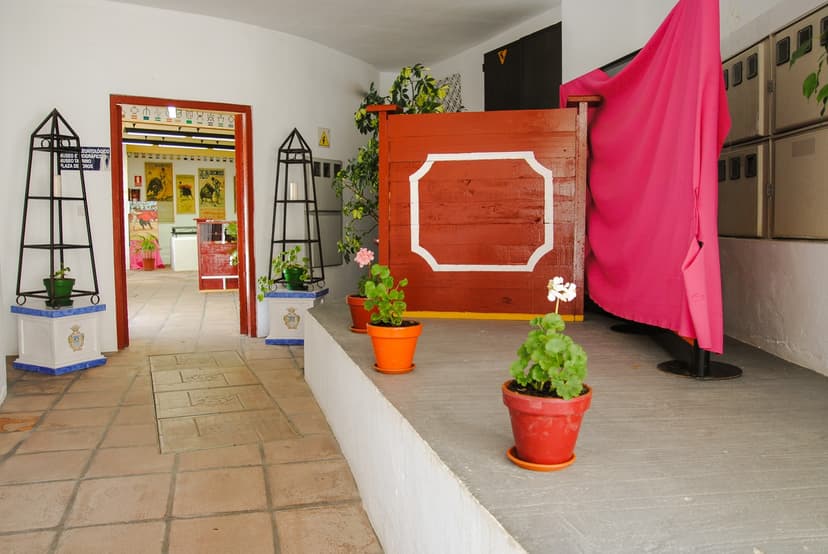 Museo Taurino