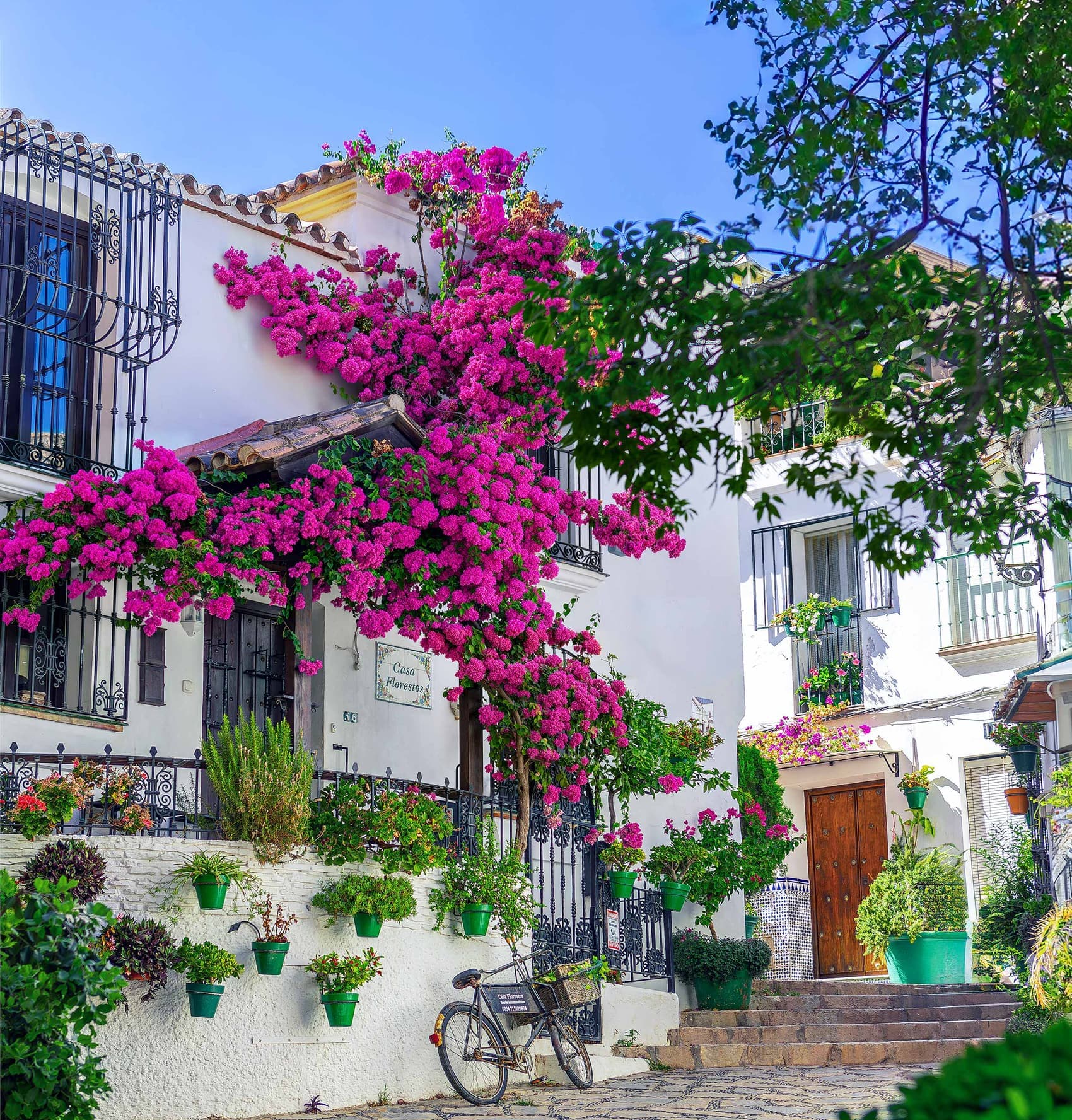 Fachada encalada del casco antiguo de Estepona cubierta de buganvilla fucsia, con macetas verdes, rejas de forja y una bicicleta apoyada en el muro