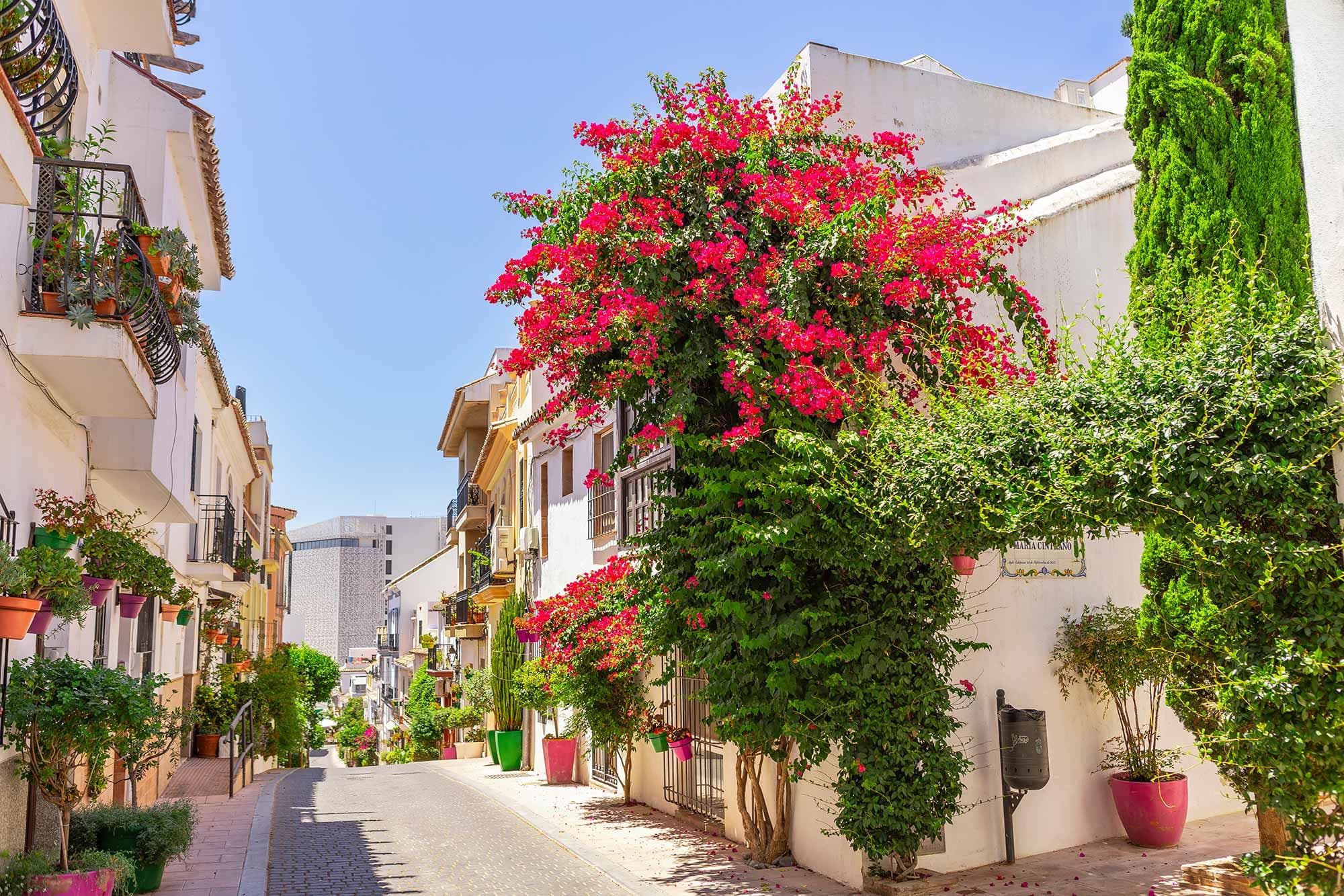 Calle típica de Estepona con buganvillas