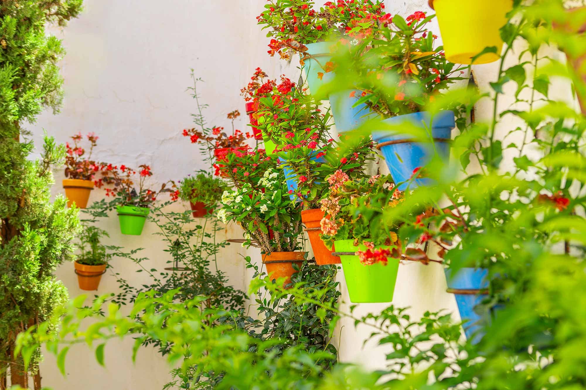 Calle con macetas de colores en el casco antiguo de Estepona.