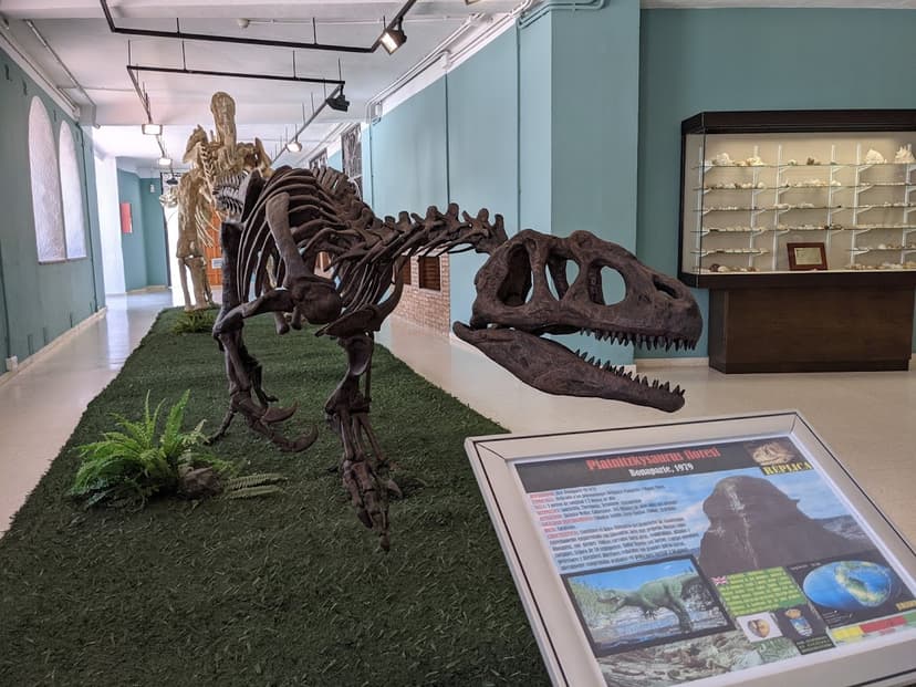 Museo Paleontológico