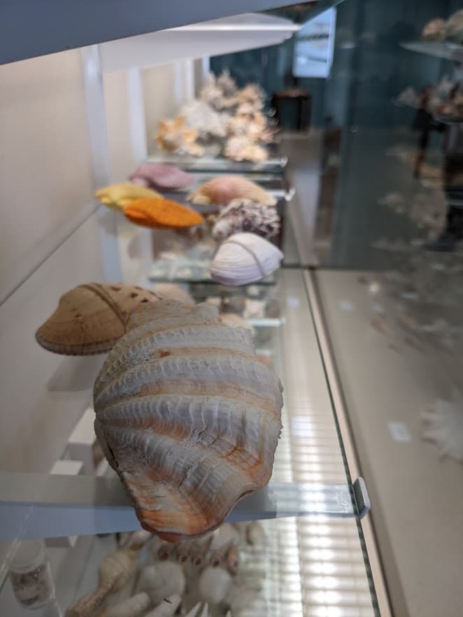 Museo Paleontológico