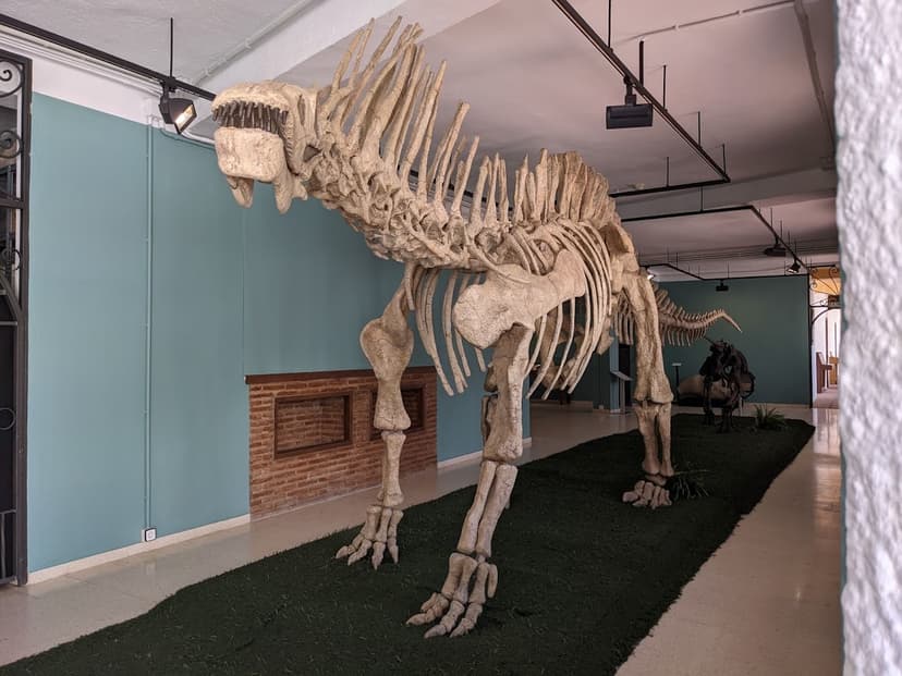 Museo Paleontológico