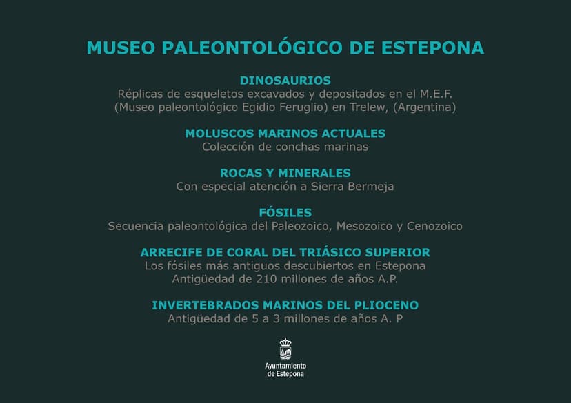 Museo Paleontológico