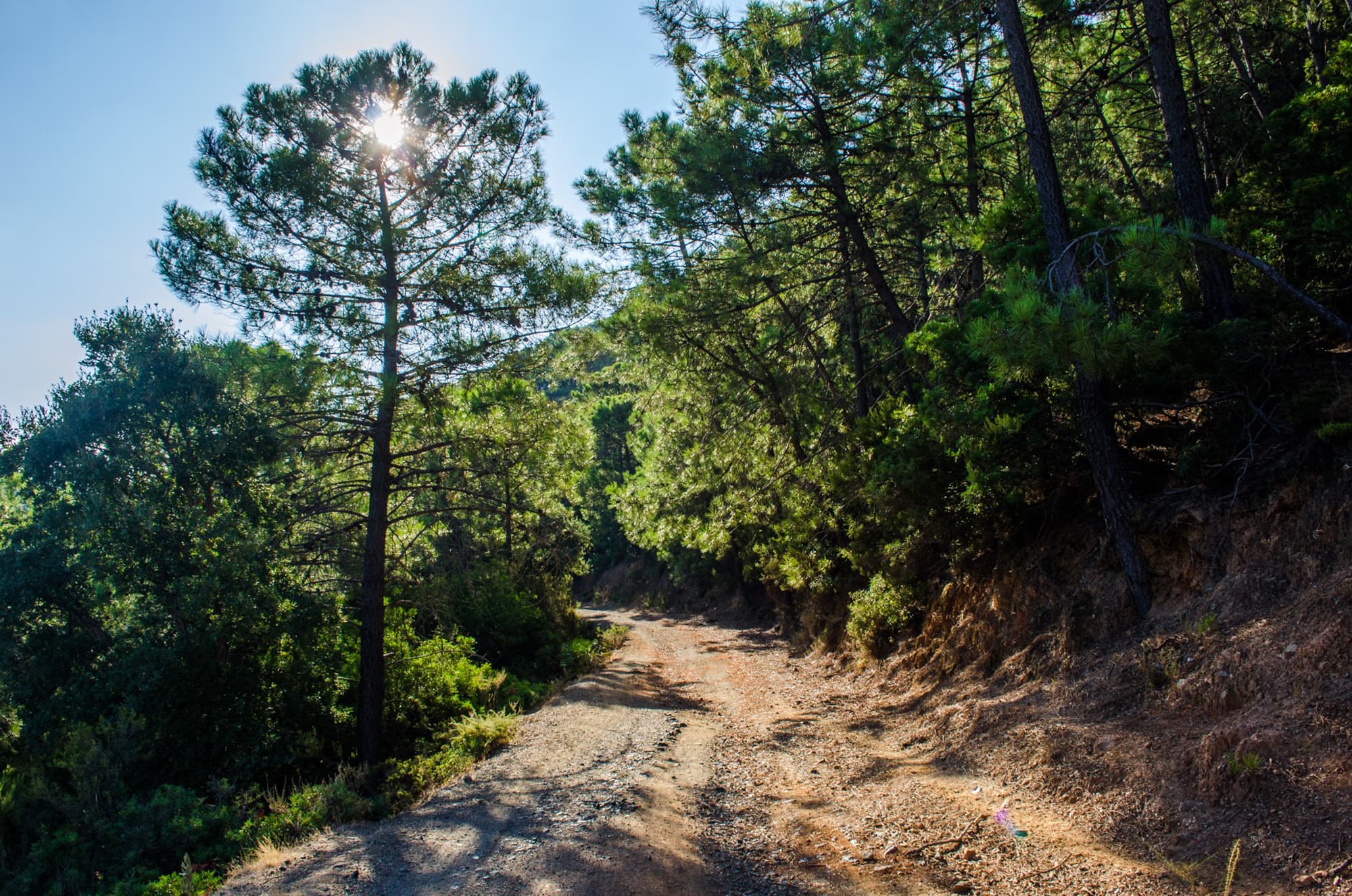Ruta Camino Nicola Casa Los Guardas