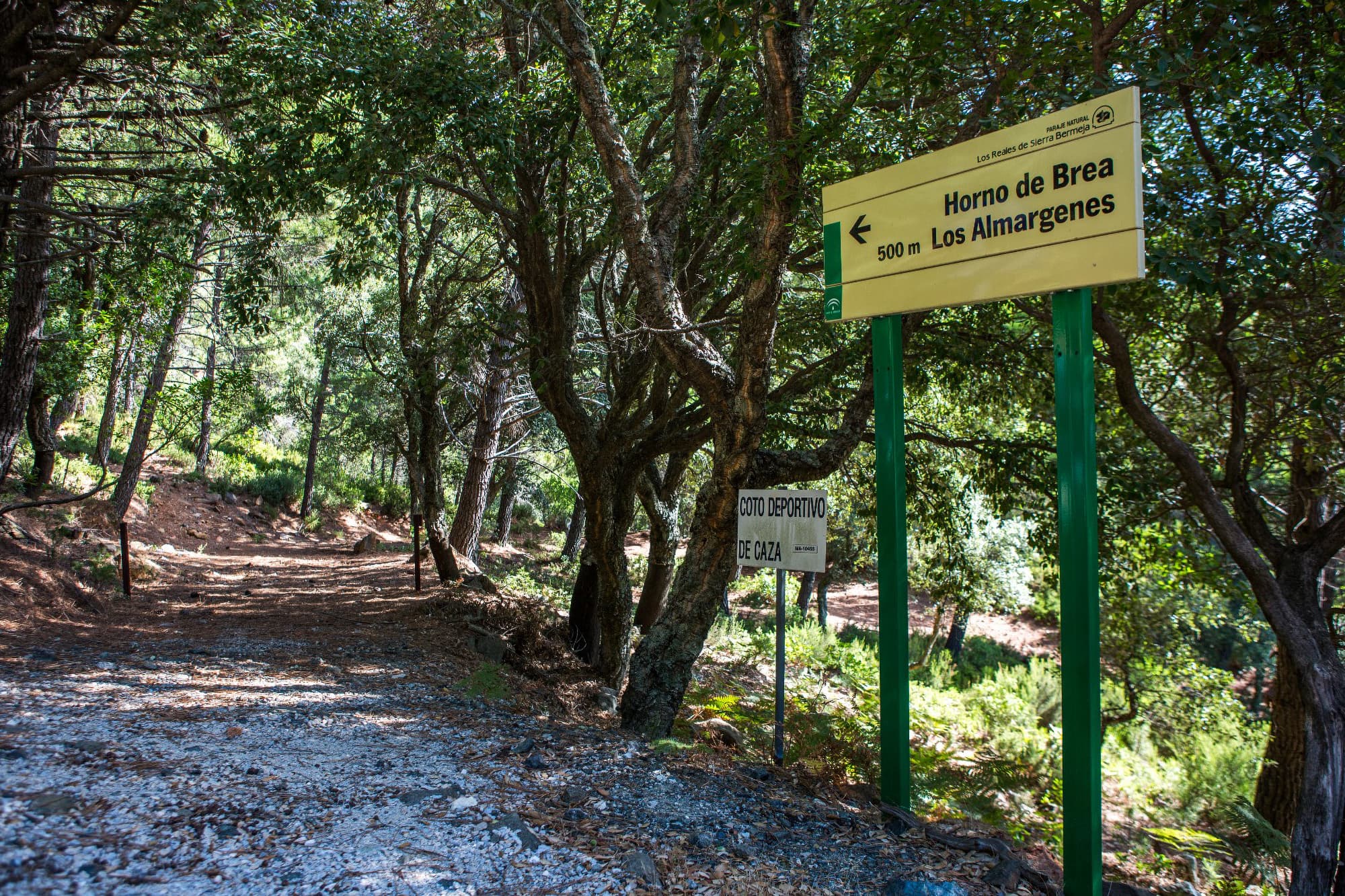 Ruta Horno de Brea de los Almárgenes