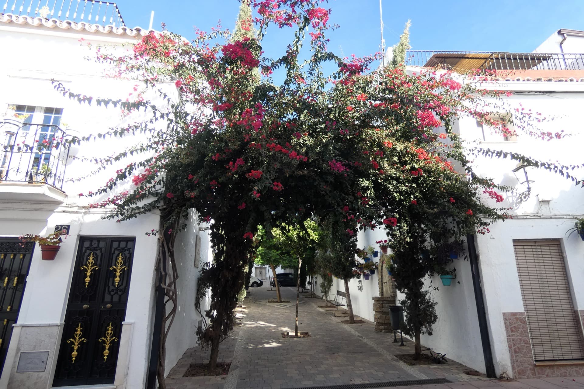 Pasaje Alicia Padierna