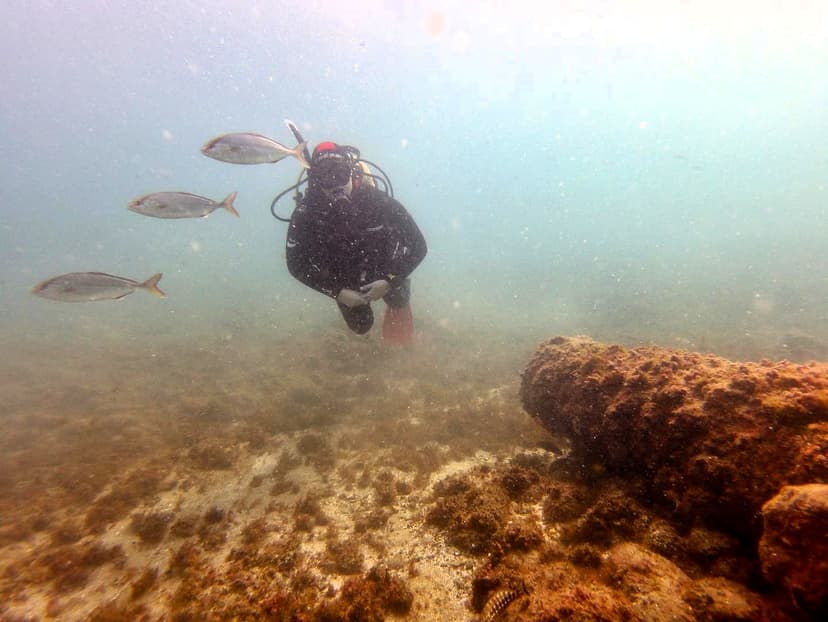 Bautismo de buceo en el puerto de Estepona