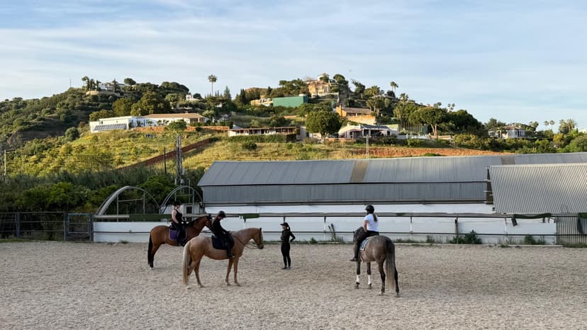 Clases de equitación en Hípica Los Limoneros en Estepona