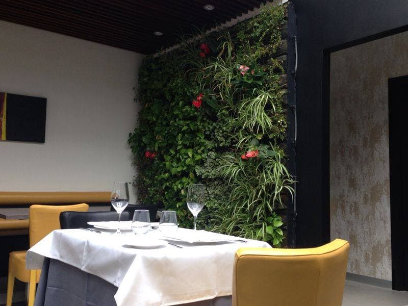 Restaurante Casa Doña Jerónima — Restaurante, Casco histórico