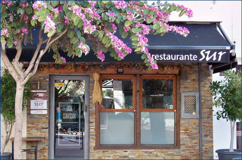 Sur (Argentino – Marroquí – Italiano) en Estepona