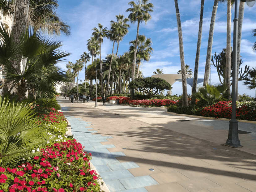 Bulevar de Estepona con palmeras y jardines