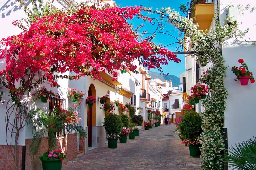 Calle típica del casco histórico de Estepona con macetas