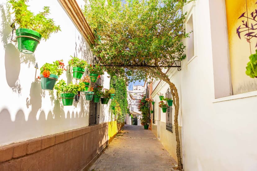 Callejuela del casco de Estepona con árbol arqueado sobre la calle.