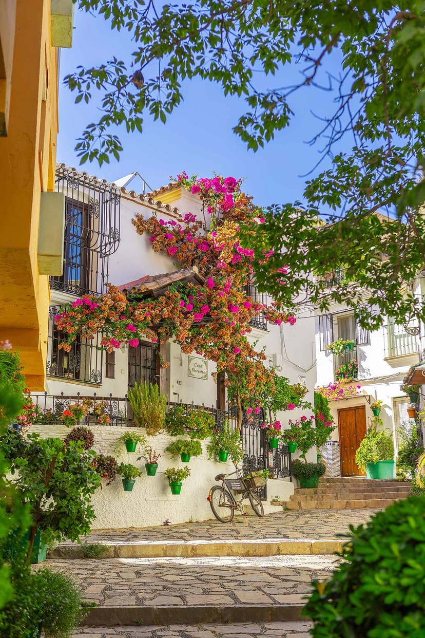 Rincón del casco de Estepona con bicicleta aparcada y buganvilla rosa.