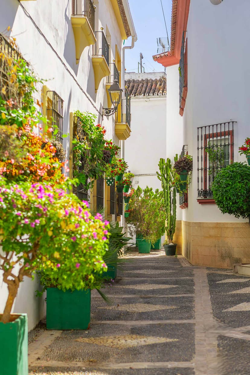 Callejuela estrecha del casco de Estepona con plantas y farola de forja.