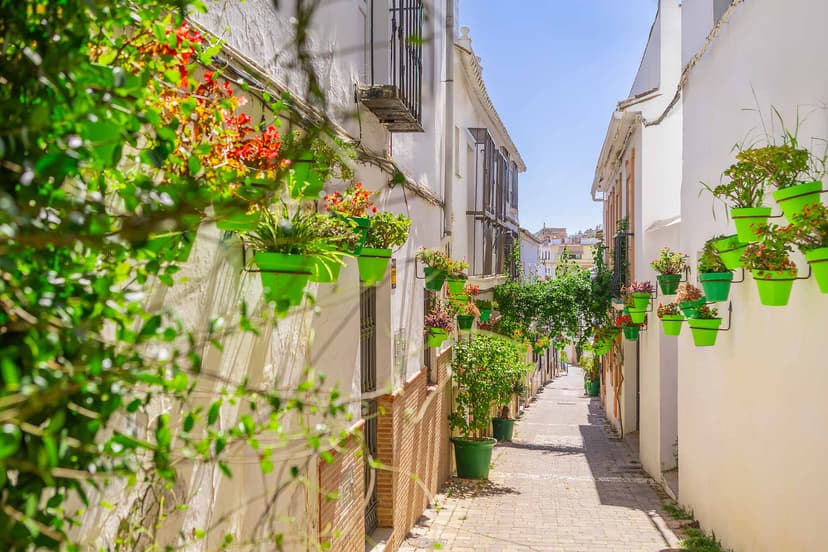 Calle del casco de Estepona con macetas verdes, variante de encuadre.