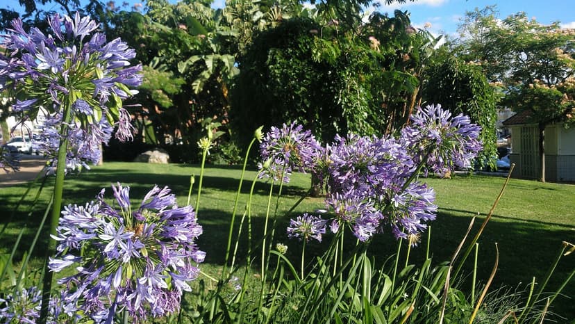 Parque de Estepona con jardines y senderos