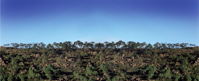 Panorámica de Sierra Bermeja con costa al fondo, Estepona