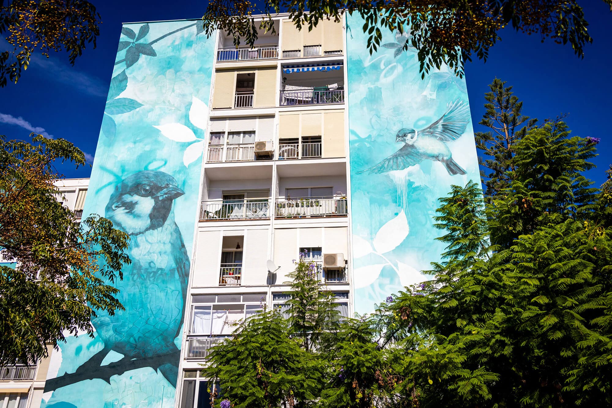 Mural "Conservación del Gorrión Común" de Colorapintura en Estepona