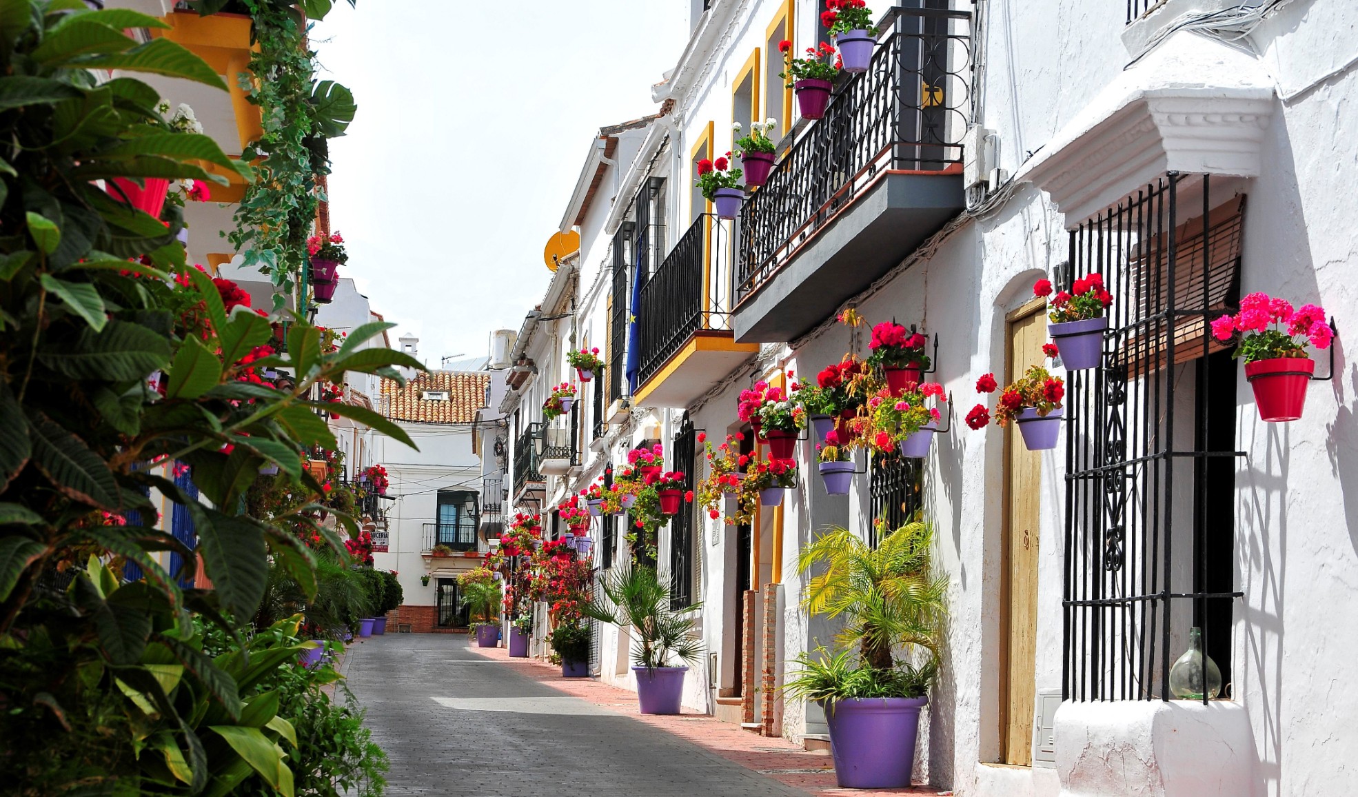 Calle peatonal del casco histórico de Estepona con flores y macetas
