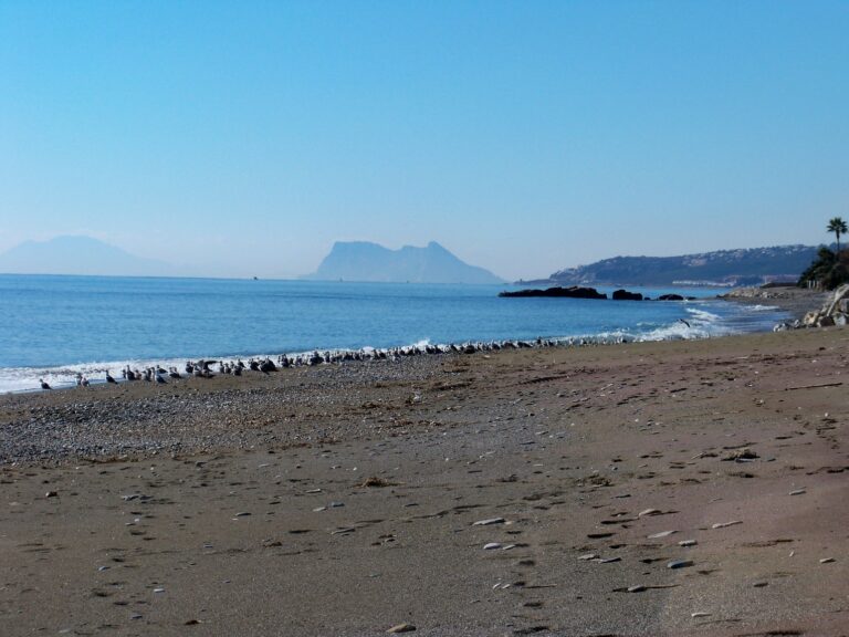 Playa de Arroyo Vaquero — tramo natural del litoral oeste de Estepona