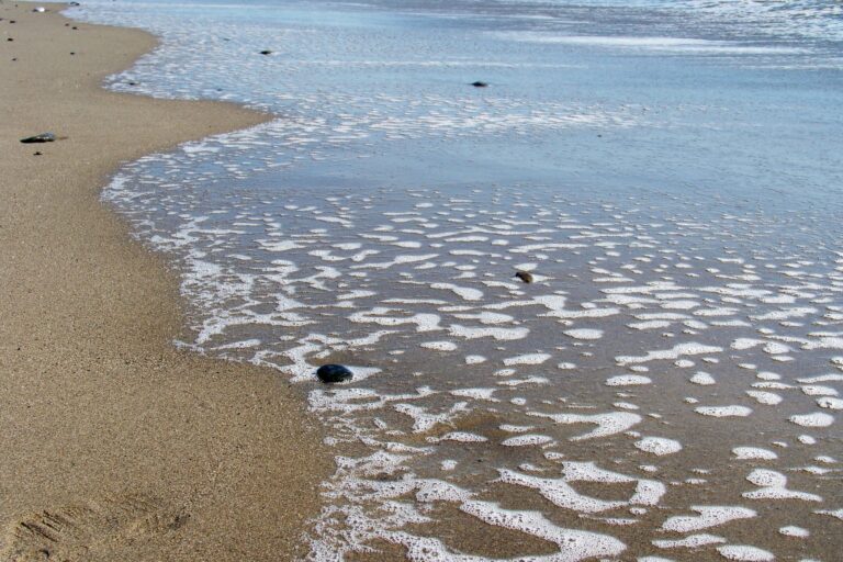 Playa del Castor — orilla con espuma y arena en el litoral este